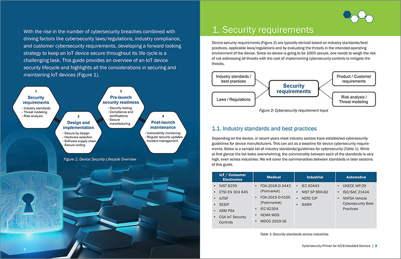 Cybersecurity Primer for IoT/Embedded Devices